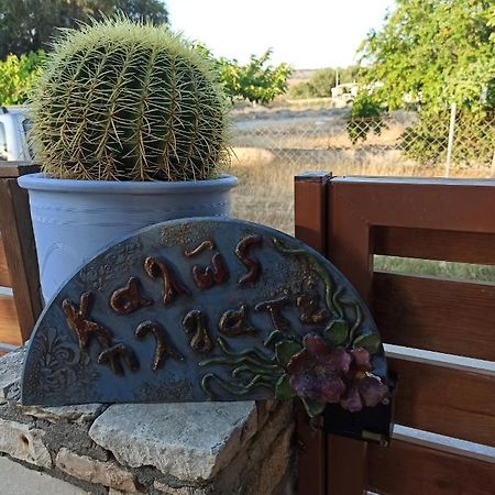 Cactus Home Kalamaki  Exteriör bild