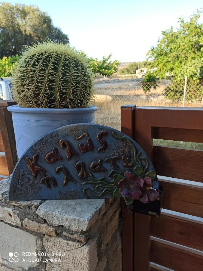 Cactus Home Kalamaki  Exteriör bild