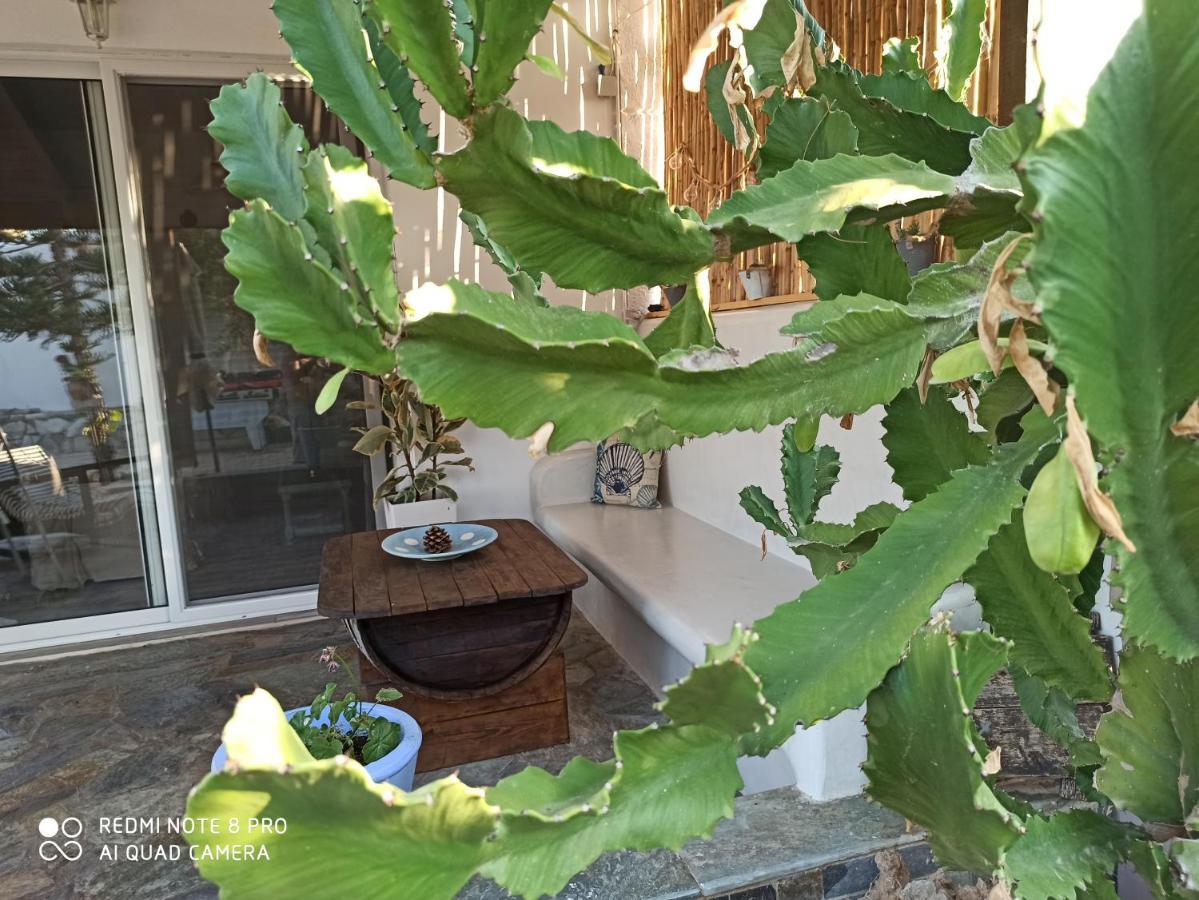 Cactus Home Kalamaki  Exteriör bild